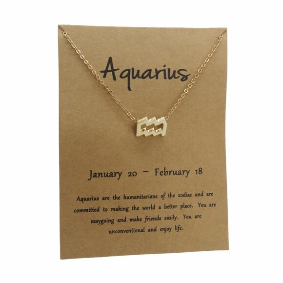 Francesca's Aquarius Pendant Necklace Horoscope Zodiac Necklace - Picture 1 of 3